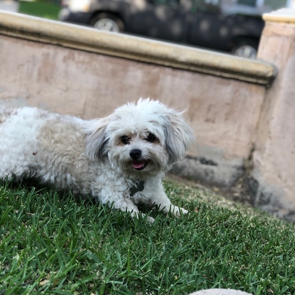 Meet the Posher Other - Meet your Posher, Mary